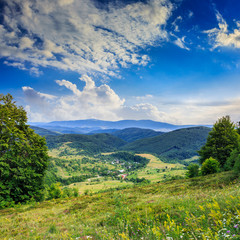 Fototapeta na wymiar village on hillside meadow with forest in mountain