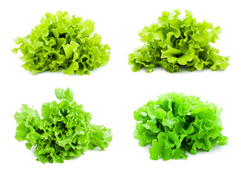 Lettuce