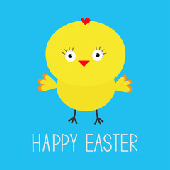 Easter chicken.  Blue background. Card.