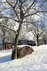 Brennholzstapel im Winter