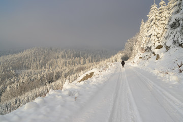 Winterspaziergang