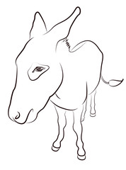 Donkey Contour Silhouette
