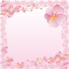 Fototapeta na wymiar 桜のレター　cherry