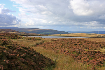 Pen-fford-gogh pond in Wales