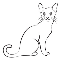 Sketch of a cat isolated on white