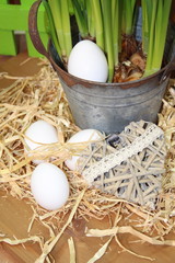 Eier im Strohnest mit Herz