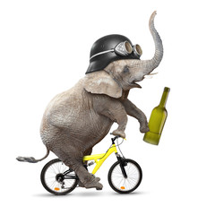 Obraz premium Drunken driver riding a bike. Traffic safety concept.