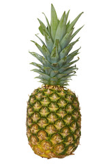 Fototapeta premium Ripe pineapple. Isolated on white