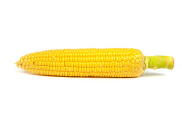 Fresh uncooked corn on the cob