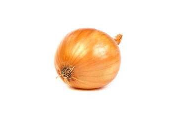 One onion, isolated on white