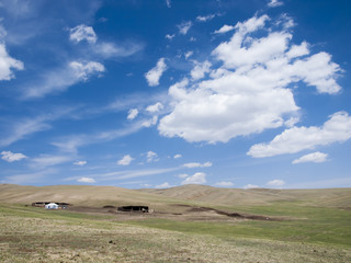 Mongolian steppe with ger