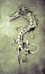 Sketch of tattoo art, big medieval dragon, fantasy concept