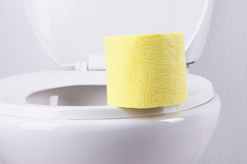 Toilet paper on a toilet, close-up