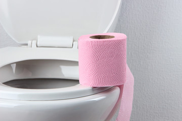 Toilet paper on a toilet, close-up