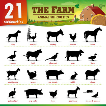 21 Farm animal silhouettes
