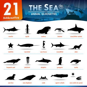 21 Sea animal silhouettes  #2