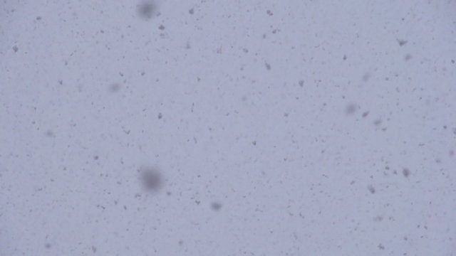 Large flakes of snow slowly falling down. Slow Motion 240 fps