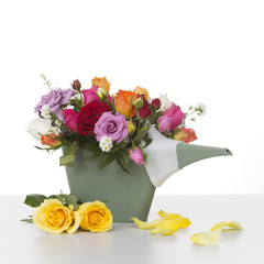 Colorful of rose in a plastics watering can