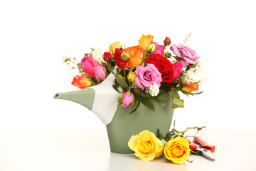 Colorful of rose in a plastics watering can with king scissors o
