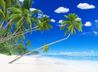 Wonderful island