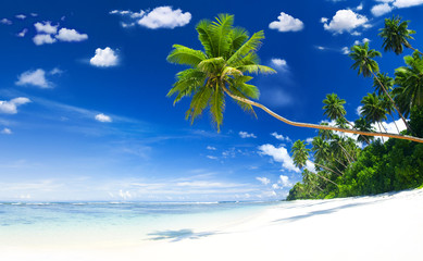 Beach and Blue sky