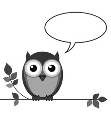 Owl talking with copy space for own text