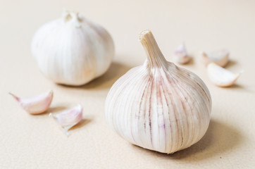 Garlic