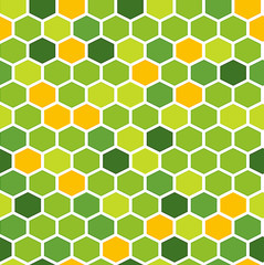 The fresh hexagon background