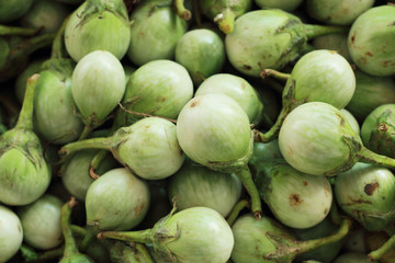fresh eggplant in the nature