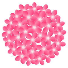 Pink flowers for Your design