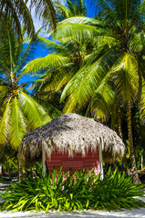 Pink cottage with a thatched roof on an exotic Caribbean beach - obrazy, fototapety, plakaty
