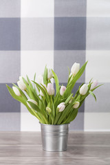 White fresh tulips in rustic pot