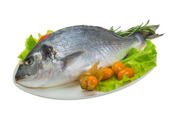 Raw dorada