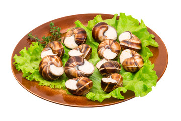 Escargot