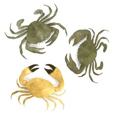 realistic 3d render of crustacean - crabs