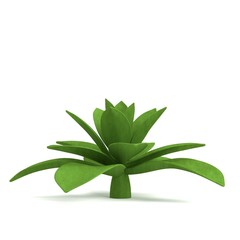 realistic 3d render of succulent