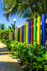 Colorful fence surrounded by palm trees - obrazy, fototapety, plakaty