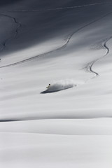 Obraz premium Skier in deep powder, extreme freeride