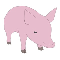 cartoon image of little pig
