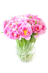 Tulips bouquet