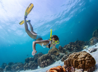 Snorkeling - obrazy, fototapety, plakaty