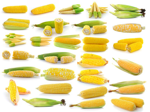 corn isolated on white background