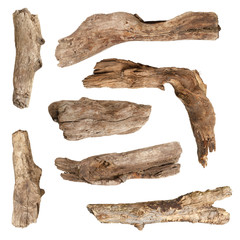 dry branches isolated on white background,