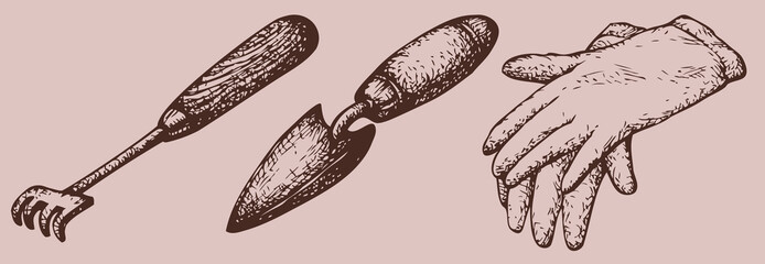 Vector drawing. Garden gloves, shovel and rake