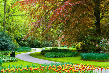 Beautiful Keukenhof spring garden