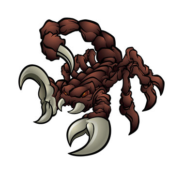Scorpion Vector Illustration