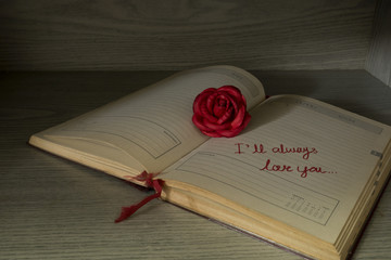 Red rose and note with love wording