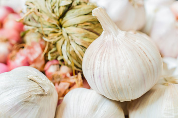 Garlic