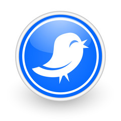 twitter icon