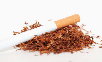 Tabak und Zigarette